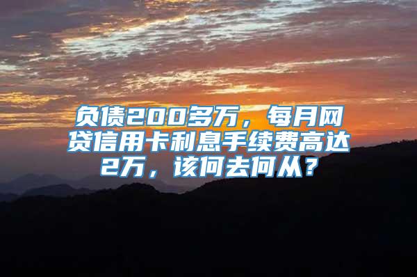 负债200多万，每月网贷信用卡利息手续费高达2万，该何去何从？