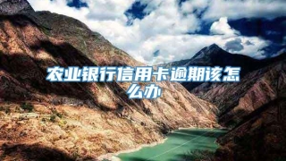 农业银行信用卡逾期该怎么办
