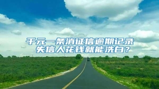 千元一条消征信逾期记录 失信人花钱就能洗白?