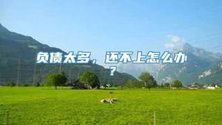 负债太多，还不上怎么办？