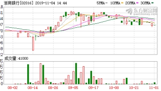 浙商银行回A直面五大监管问询逾期贷款攀升不良率创十年新高
