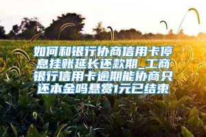 如何和银行协商信用卡停息挂账延长还款期_工商银行信用卡逾期能协商只还本金吗悬赏1元已结束