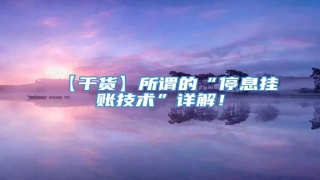 【干货】所谓的“停息挂账技术”详解!