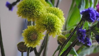 平安银行信用卡逾期卡被停用怎么恢复？被停用的原因有哪些？