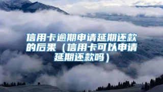 信用卡逾期申请延期还款的后果（信用卡可以申请延期还款吗）