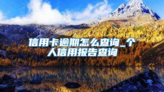 信用卡逾期怎么查询_个人信用报告查询