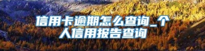 信用卡逾期怎么查询_个人信用报告查询