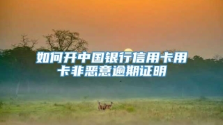 如何开中国银行信用卡用卡非恶意逾期证明