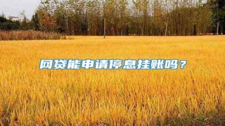网贷能申请停息挂账吗?