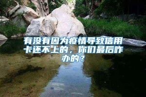 有没有因为疫情导致信用卡还不上的，你们最后咋办的？