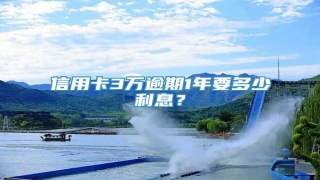 信用卡3万逾期1年要多少利息?