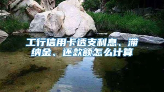 工行信用卡透支利息、滞纳金、还款额怎么计算