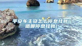 平安车主贷怎么停息挂账(借呗停息挂账)