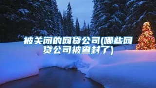 被关闭的网贷公司(哪些网贷公司被查封了)