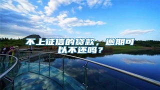 不上征信的贷款,逾期可以不还吗?