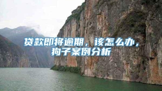 贷款即将逾期，该怎么办，狗子案例分析