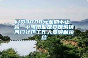 网贷3000元逾期不还 省一中院借助定安定城镇西门社区工作人员顺利执结