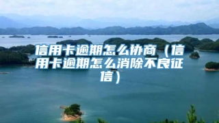 信用卡逾期怎么协商(信用卡逾期怎么消除不良征信)