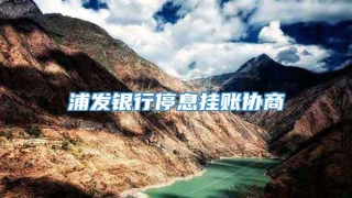 浦发银行停息挂账协商