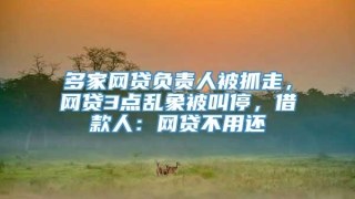 多家网贷负责人被抓走，网贷3点乱象被叫停，借款人：网贷不用还