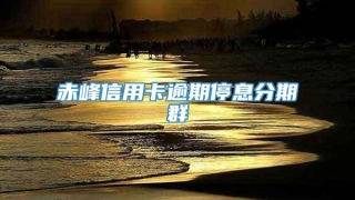 赤峰信用卡逾期停息分期群