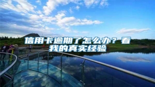 信用卡逾期了怎么办?看我的真实经验
