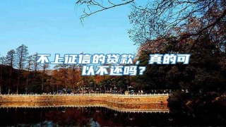 不上征信的贷款,真的可以不还吗?