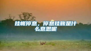 挂帐停息,停息挂账是什么意思呢