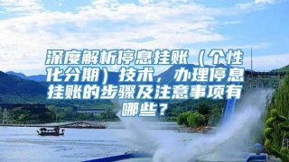 深度解析停息挂账(个性化分期)技术,办理停息挂账的步骤及注意事项有哪些?