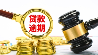 负债逾期19天后