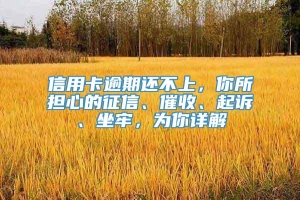 信用卡逾期还不上，你所担心的征信、催收、起诉、坐牢，为你详解