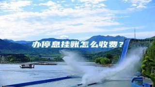办停息挂账怎么收费?