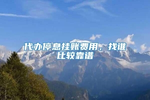 代办停息挂账费用，找谁比较靠谱