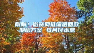 刚刚！微贷网推缩短回款期限方案 每月付本息