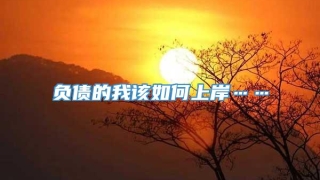 负债的我该如何上岸……