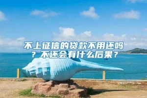 不上征信的贷款不用还吗？不还会有什么后果？