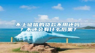 不上征信的贷款不用还吗?不还会有什么后果?
