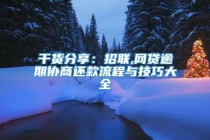 干货分享：招联,网贷逾期协商还款流程与技巧大全