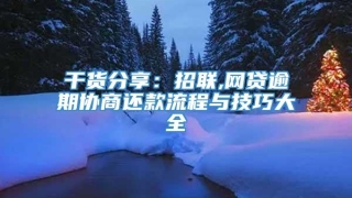 干货分享：招联,网贷逾期协商还款流程与技巧大全