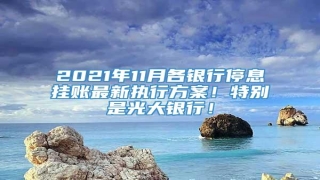 2021年11月各银行停息挂账最新执行方案！特别是光大银行！