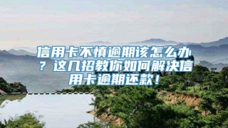 信用卡不慎逾期该怎么办?这几招教你如何解决信用卡逾期还款!