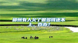 柳州有人欠了很多钱还不上，咋办？