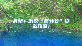 最新!武汉“商转公”贷款攻略!