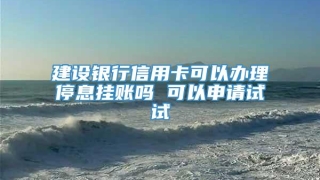 建设银行信用卡可以办理停息挂账吗 可以申请试试