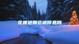 花呗逾期会被停息吗
