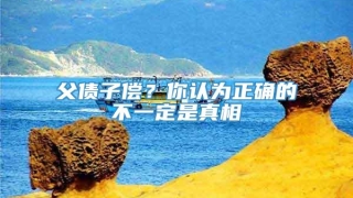 父债子偿?你认为正确的不一定是真相