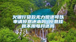 欠银行贷款无力偿还可以申请停息还本吗 停息挂账不用每月还吗
