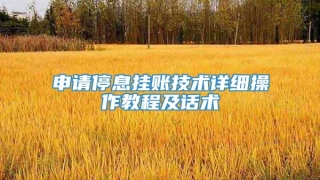 申请停息挂账技术详细操作教程及话术