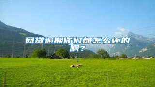 网贷逾期你们都怎么还的啊?