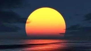 创业失败者，债务处理五步走，每一步都不困难！